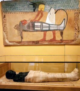 Racibórz - egipska mumia